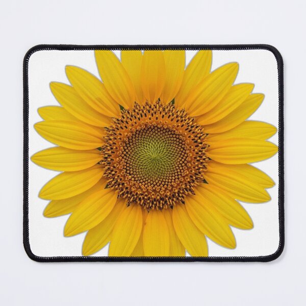 Item preview, Sunflower Bloom Icon v2 — Gradient Shading 10 designed and sold by pumsquare.