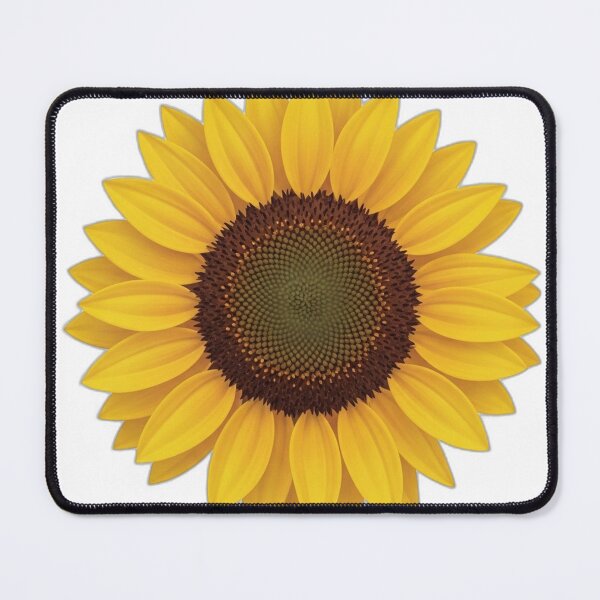 Item preview, Sunflower Bloom Icon v2 — Clean Vector 13 designed and sold by pumsquare.