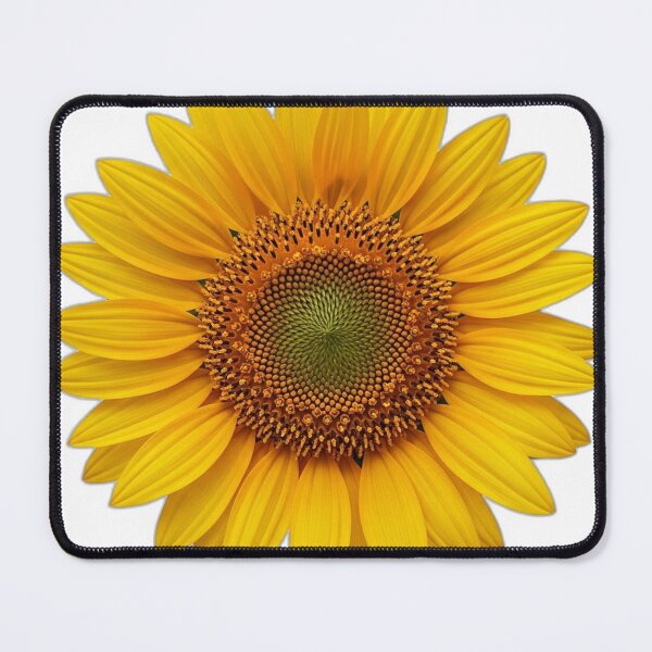 Item preview, Sunflower Bloom Icon v2 — Engraved Lines 11 designed and sold by pumsquare.