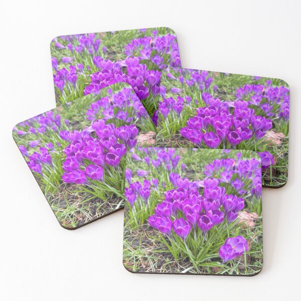 Item preview, Purple Crocuses designed and sold by Violaman.