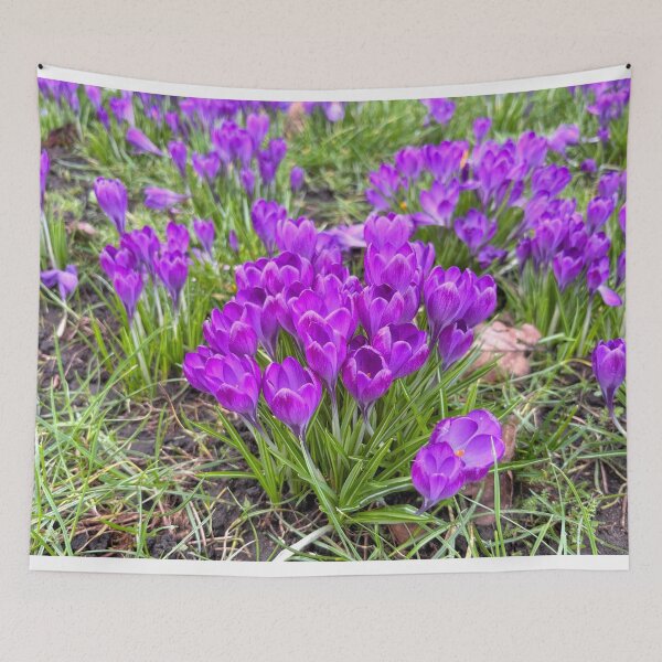 Item preview, Purple Crocuses designed and sold by Violaman.
