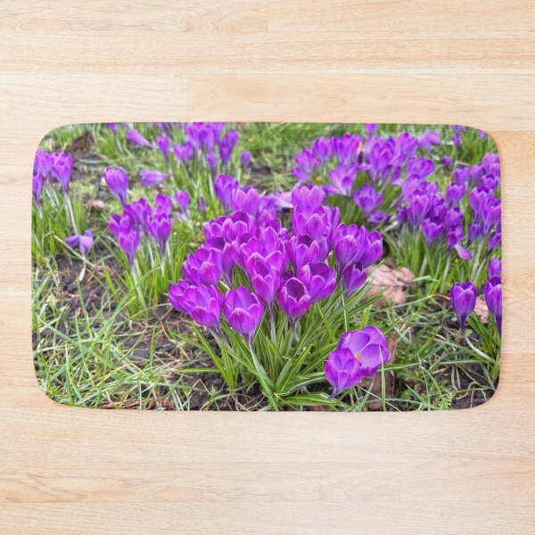 Item preview, Purple Crocuses designed and sold by Violaman.