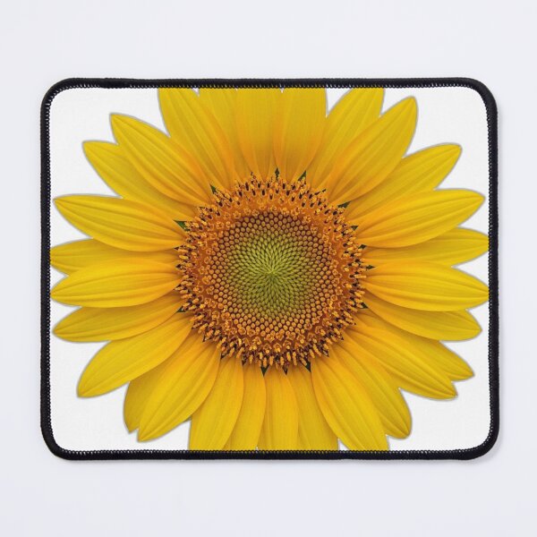 Item preview, Sunflower Bloom Icon v2 — Bold Outline 14 designed and sold by pumsquare.