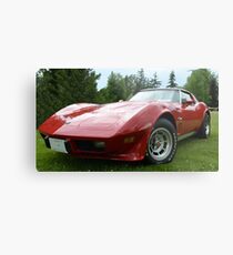 Corvette Stingray in the Rain Metal Print