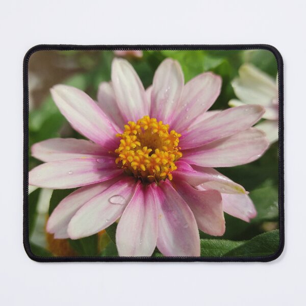 Item preview, Beautiful Pink Blooming Flower From The Garden Digital Photography designed and sold by vtspatial.