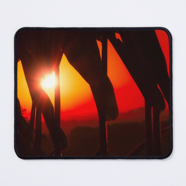 Item preview, Cornstalk Silhouettes designed and sold by Jim Love.