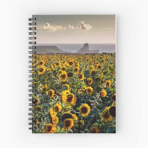 Item preview, Sunflowers at Worms Head designed and sold by Leighton Collins.