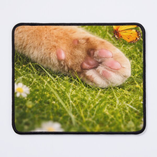 Item preview, Paw designed and sold by RedPandaDawg.