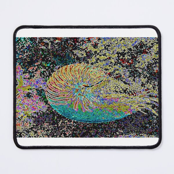 Item preview, Nautilus illusionistic art designed and sold by Wolkenleserin.