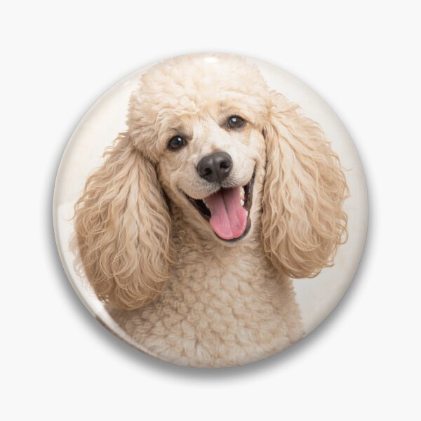 Item preview, Standard Poodle Elegance – Realistic Dog Circle Art designed and sold by TheJoyfulPen.