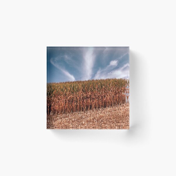 Item preview, Cornfield Geometry designed and sold by Jim Love.