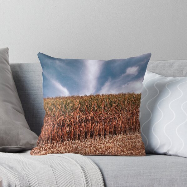 Item preview, Cornfield Geometry designed and sold by Jim Love.