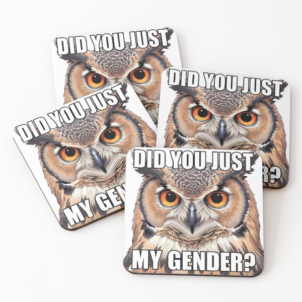 Item preview, Did You Just Assume My Gender Owl Meme designed and sold by rainbowgremlin.