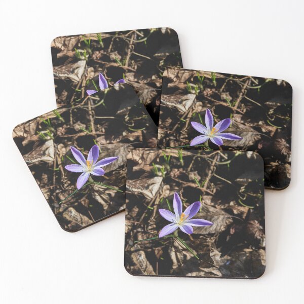 Item preview, First 2026 Flower designed and sold by Eidetic Photos.