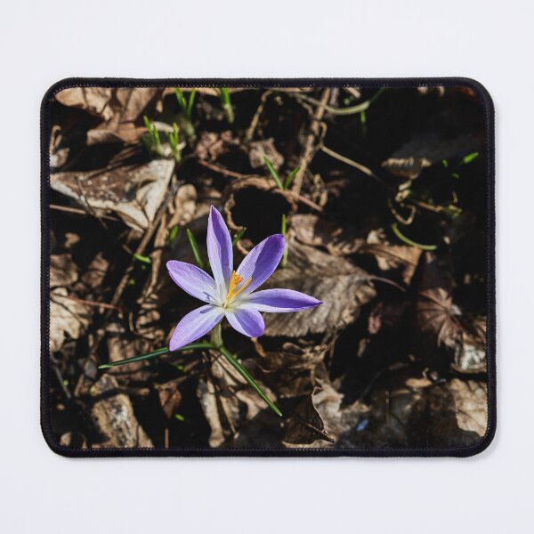 Item preview, First 2026 Flower designed and sold by Eidetic Photos.