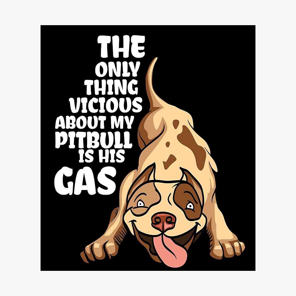 pitbull gifts for pitbull lovers