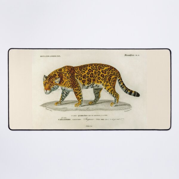 Item preview, Antique print of a painted jaguar designed and sold by stevepaint.