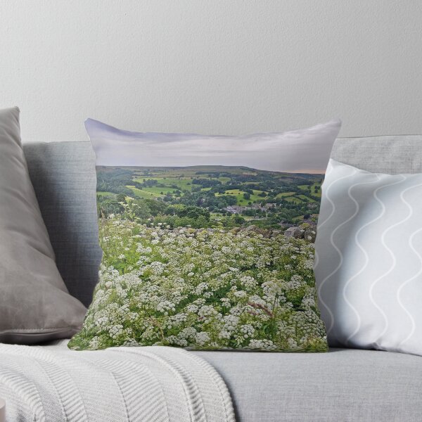 Item preview, Cow Parsley over Pateley Bridge designed and sold by Kat Simmons.
