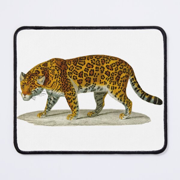 Item preview, Antique print of a painted jaguar designed and sold by stevepaint.