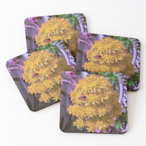 Item preview, Virtual Honey designed and sold by DEVOURER.