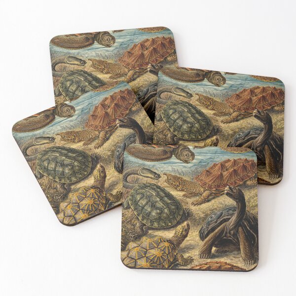 Item preview, Vintage Scientific Illustration Sea Turtles and Tortoises Reptile Art for Natural History Lovers designed and sold by RickE.