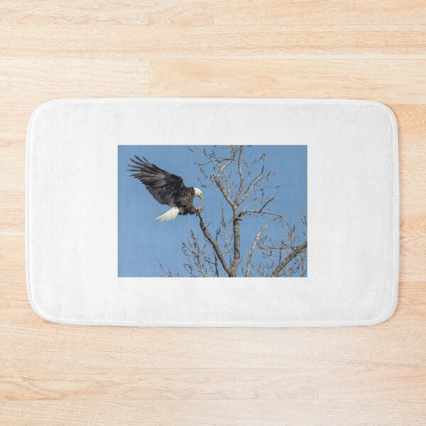 Item preview, Adult Bald Eagle Landing 2-26-2026 designed and sold by Thomasyoung.
