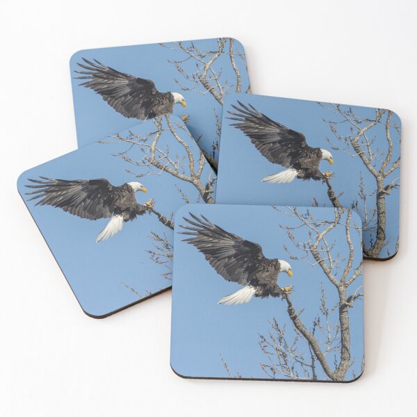 Item preview, Adult Bald Eagle Landing 2-26-2026 designed and sold by Thomasyoung.