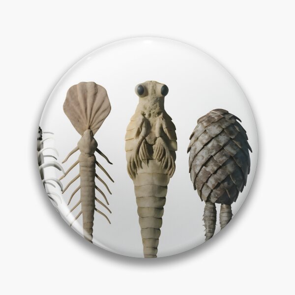 Item preview, Ancient trilobite fossils in various poses and shapes designed and sold by Creative88Art.