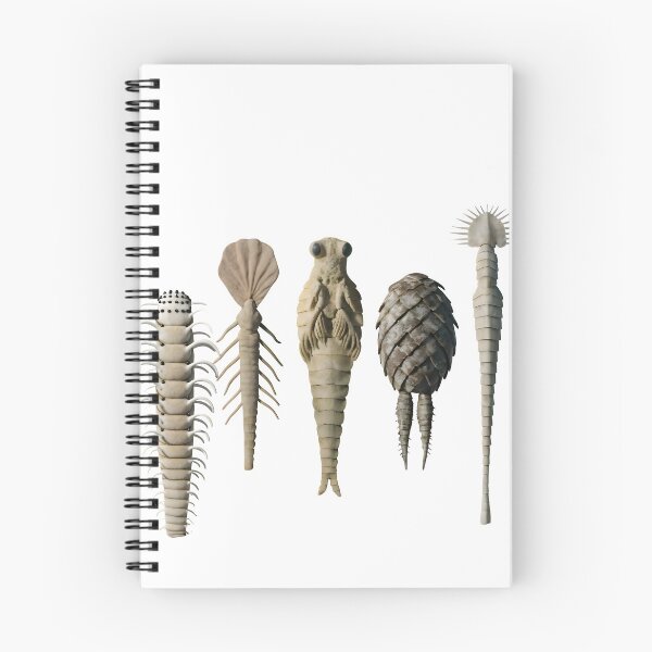 Item preview, Ancient trilobite fossils in various poses and shapes designed and sold by Creative88Art.