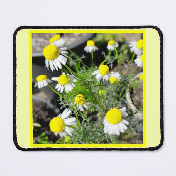 Item preview, Chamomile designed and sold by DEVOURER.