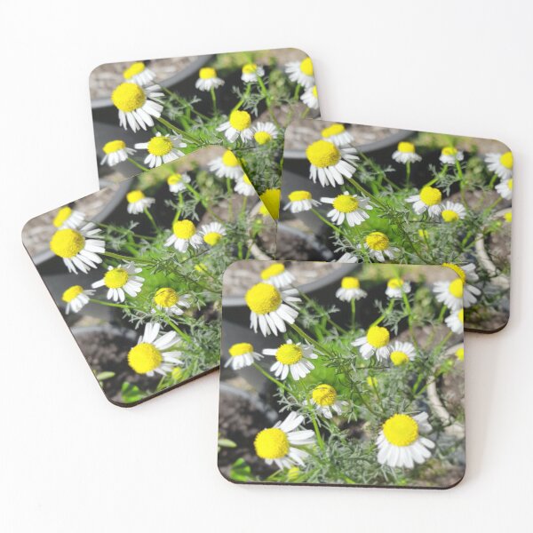 Item preview, Chamomile designed and sold by DEVOURER.