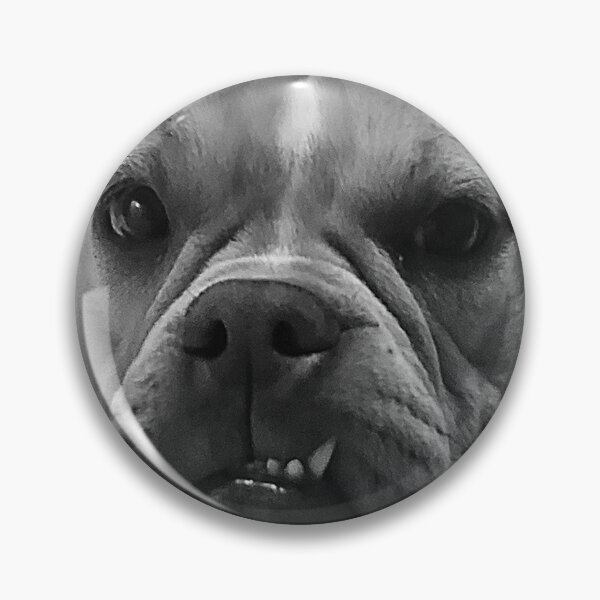 Item preview, Bulldog Diva! designed and sold by Every1LovesNola.