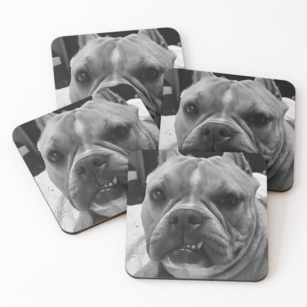 Item preview, Bulldog Diva! designed and sold by Every1LovesNola.
