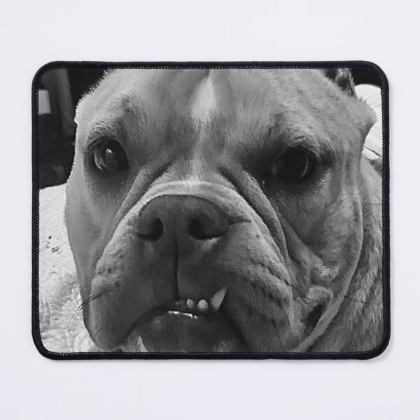 Item preview, Bulldog Diva! designed and sold by Every1LovesNola.
