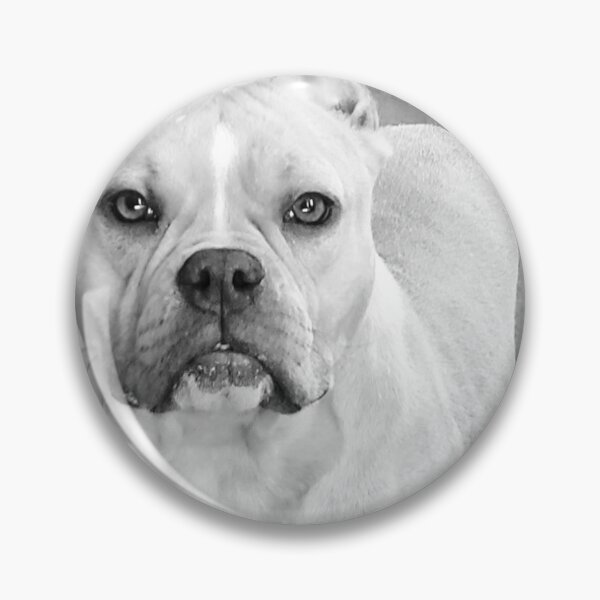 Item preview, Queenly Statuesque Bulldog designed and sold by Every1LovesNola.