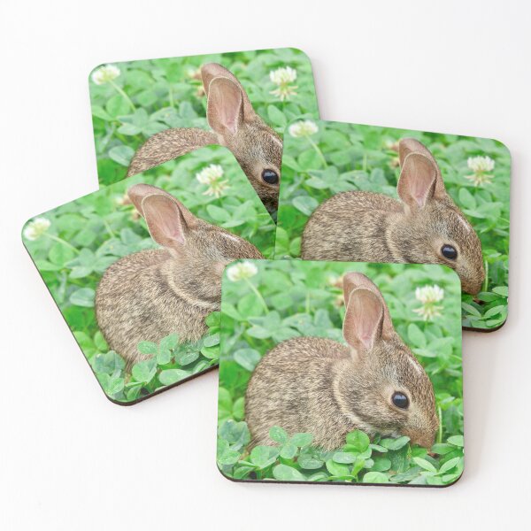 Item preview, Clover munching-Eastern Cottontail designed and sold by Naturally Still Photography.