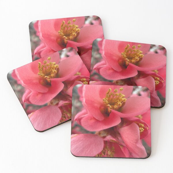 Item preview, Pink Petals  designed and sold by Betsy Phillips.