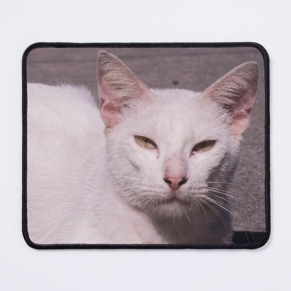 Item preview, 1st White Cat designed and sold by ROSE ANN BANILAR.