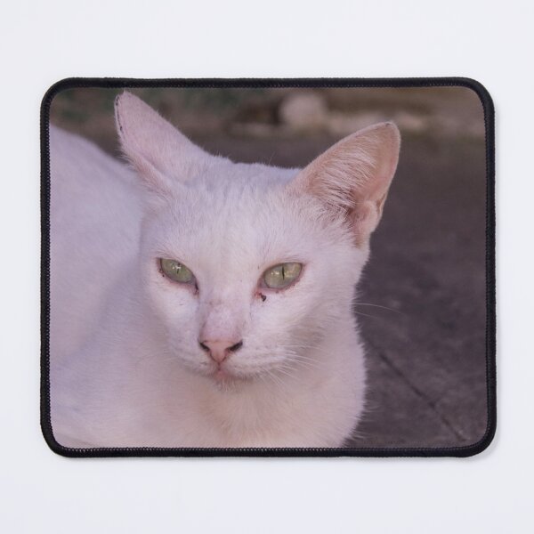 Item preview, 2nd White Cat designed and sold by ROSE ANN BANILAR.