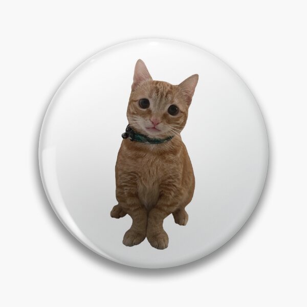 Item preview, Nacho Staring at You designed and sold by nacho-dwarf-cat.