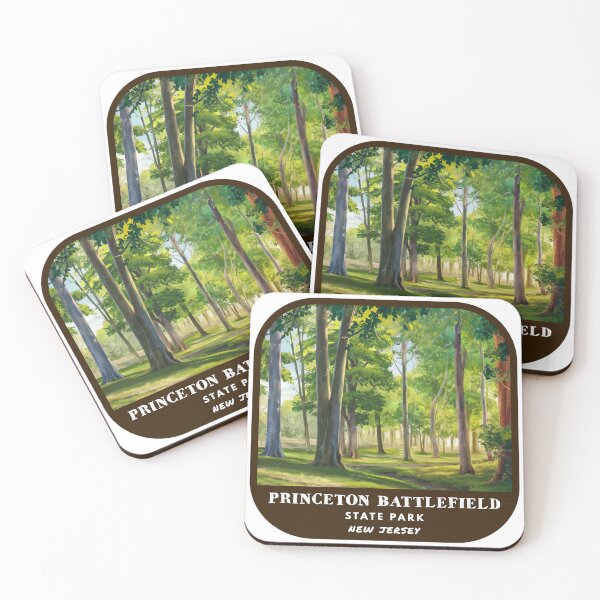 Item preview, Vintage Princeton Battlefield State Park (New Jersey) designed and sold by RabbitK.