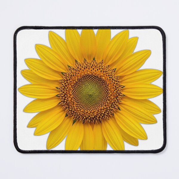 Item preview, Sunflower Bloom Icon v2 — Paper-Cut Layers 17 designed and sold by pumsquare.