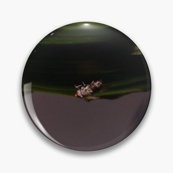 Item preview, Fly in Light and Dark designed and sold by ROSE ANN BANILAR.