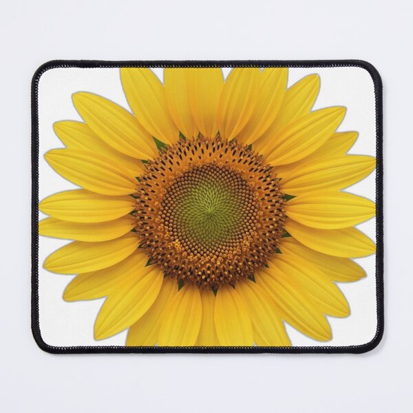 Item preview, Sunflower Bloom Icon v2 — Watercolor Shading 18 designed and sold by pumsquare.