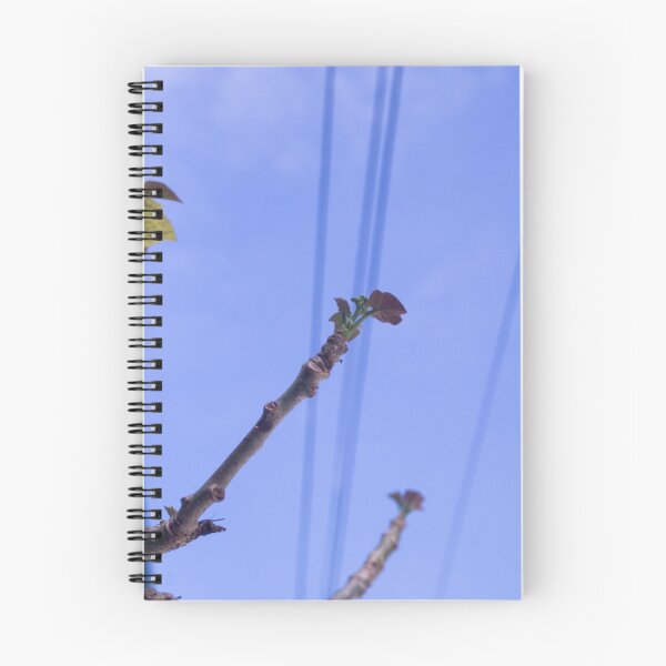 Item preview, Fig Tree designed and sold by ROSE ANN BANILAR.