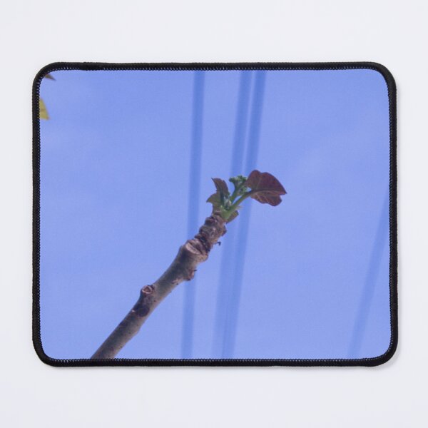 Item preview, Fig Tree designed and sold by ROSE ANN BANILAR.