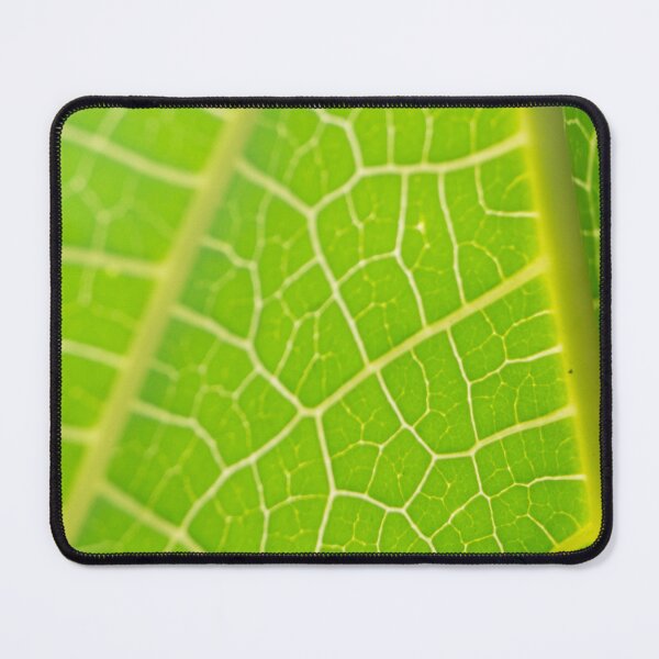Item preview, Papaya Leaf designed and sold by ROSE ANN BANILAR.