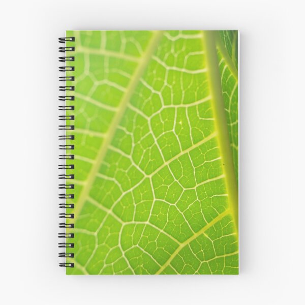 Item preview, Papaya Leaf designed and sold by ROSE ANN BANILAR.