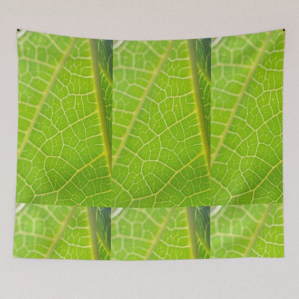 Item preview, Papaya Leaf designed and sold by ROSE ANN BANILAR.
