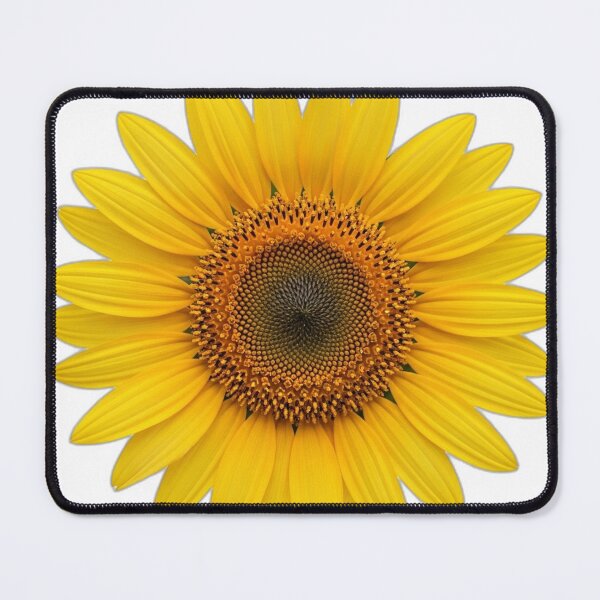 Item preview, Sunflower Bloom Icon v2 — Minimal Bold 21 designed and sold by pumsquare.